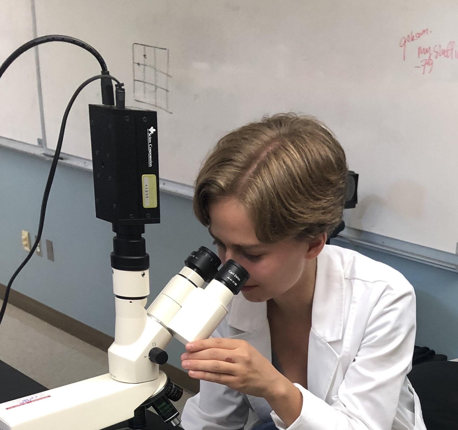 Student looking through microscope