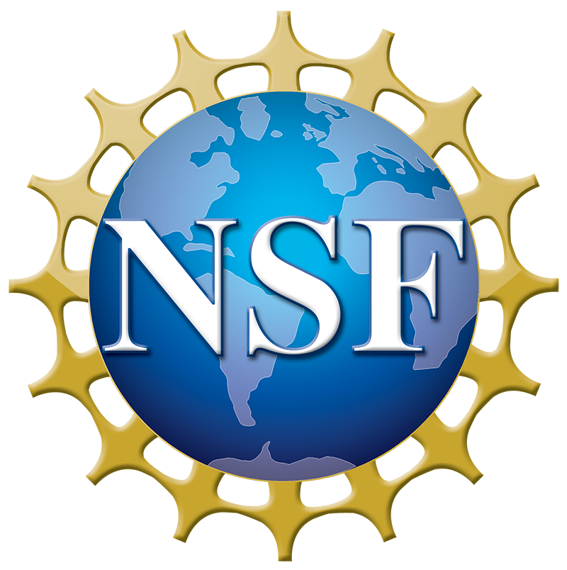 nsf logo