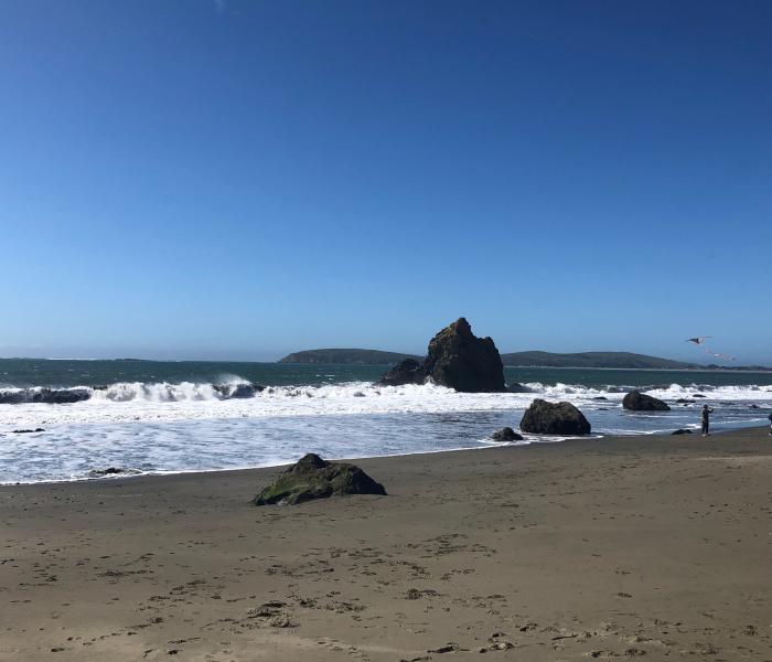 Bodega Bay