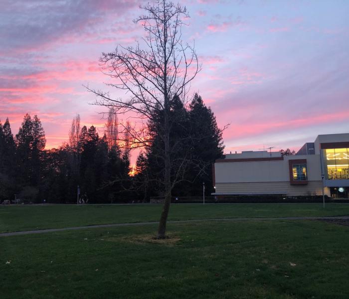 SSU Sunset