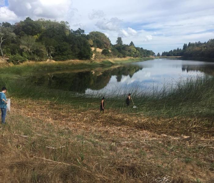 Students doing research at a lake