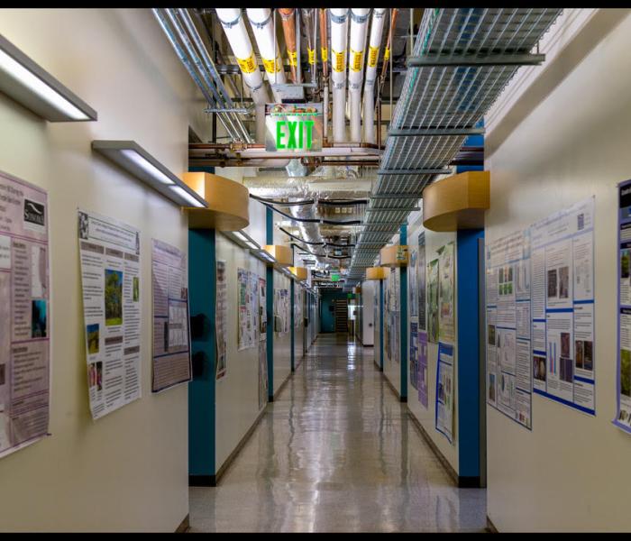 Darwin 2nd Floor Hallway