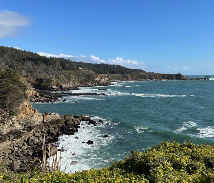 Timber Cove Coastline