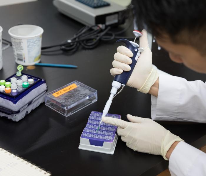 student working in a lab