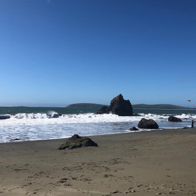 Bodega Bay