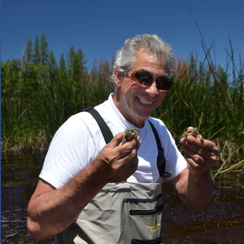 Dr. Nick Geist outside holding baby turtles