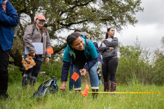 Students doing research in a field