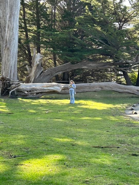 Student standing in the distance under some trees