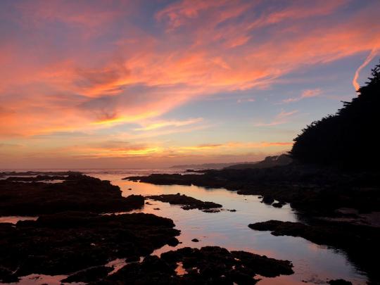 Sunset at Sea Ranch