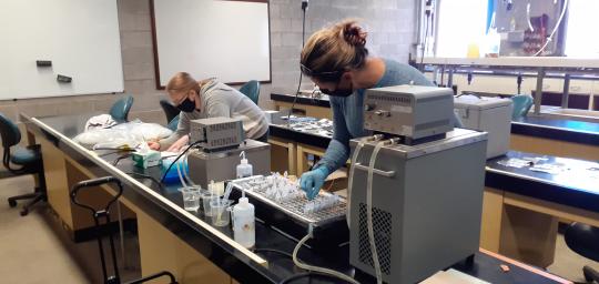 Student and Professor working in the lab